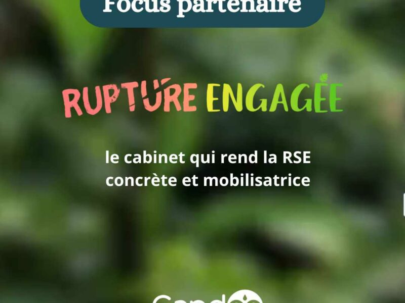 Visuel Rupture Engagée cabinet de conseil RSE