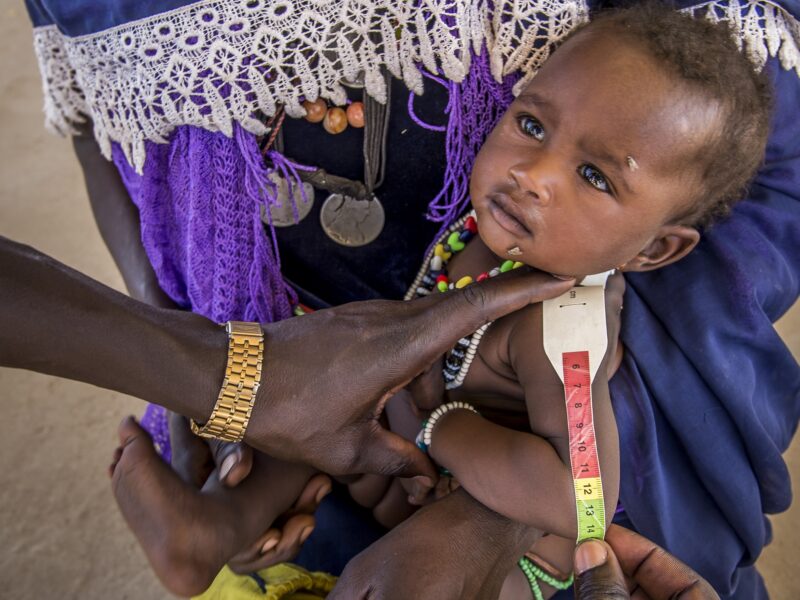 Première Urgence Internationale aide humanitaire ONG Students for Impact Gandee