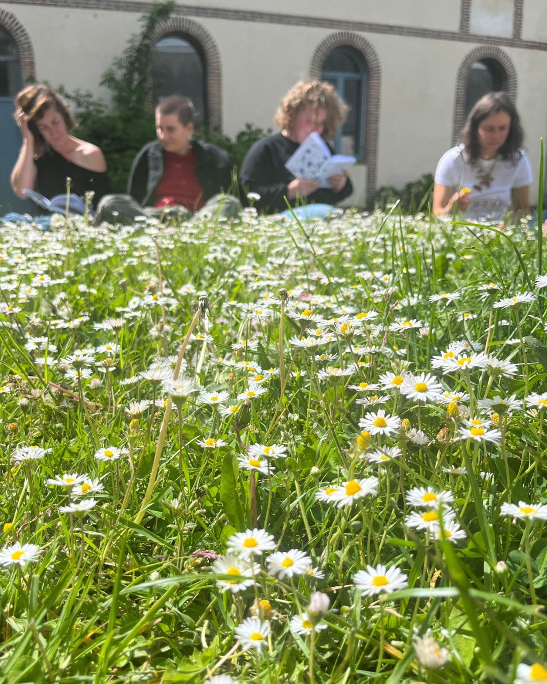 Fermes d'Avenir agroécologie agriculture durable Students for Impact Gandee